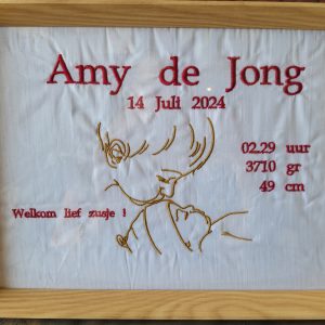 Geboorte Tegel Zusje