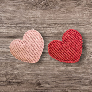 Babyhaarspeldjes Hartjes